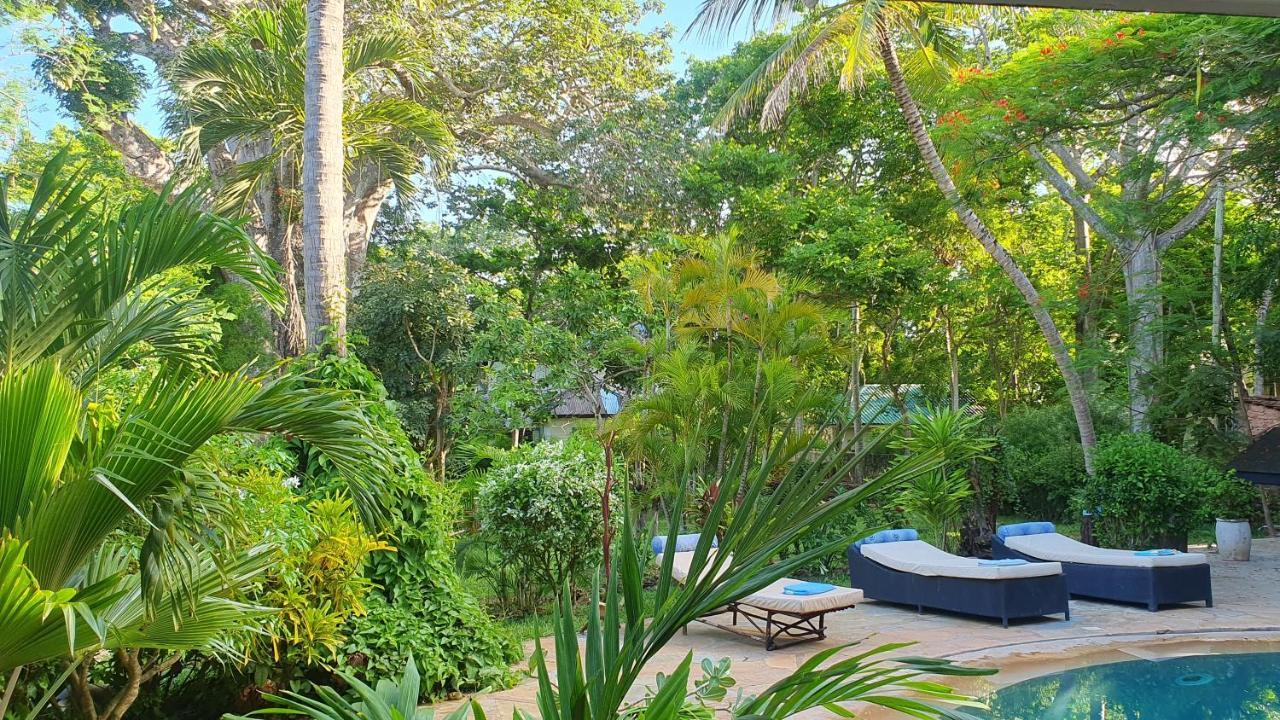 Mami Wata House Bed & Breakfast Kwale Exterior foto