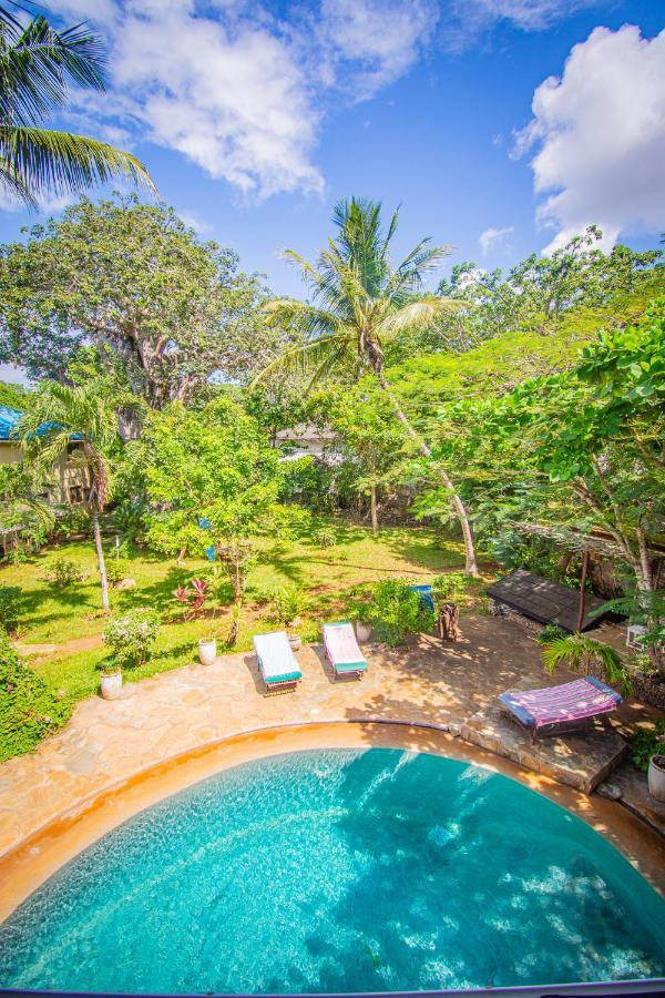 Mami Wata House Bed & Breakfast Kwale Exterior foto