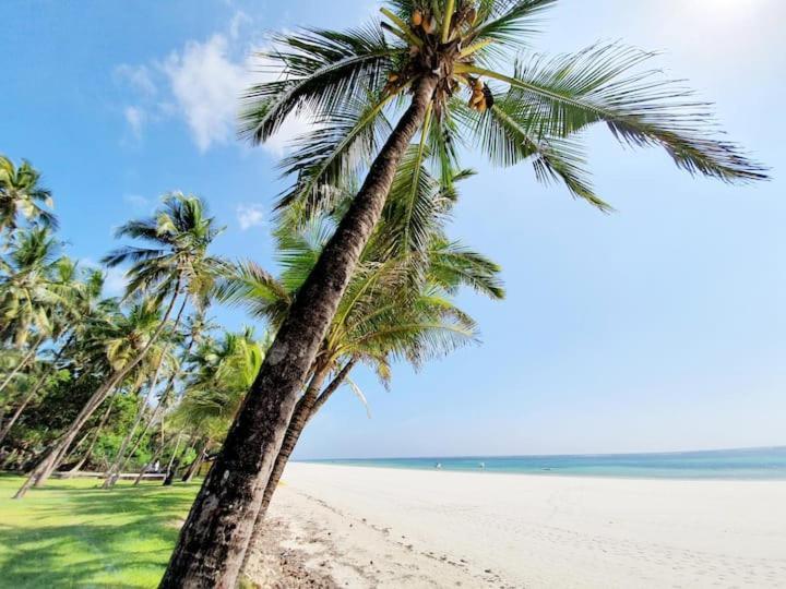 Mami Wata House Bed & Breakfast Kwale Exterior foto
